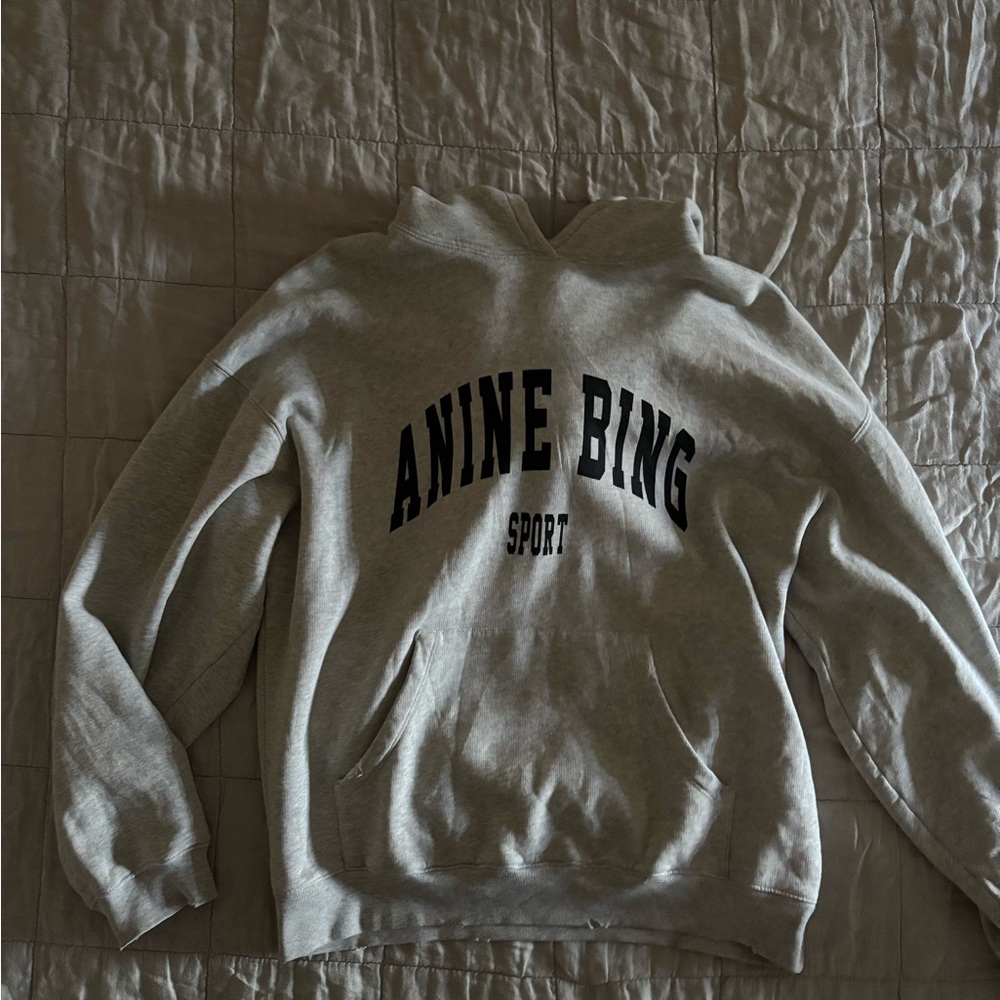 Anine Bing Sport Gray Hoodie